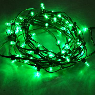 China Outdoor Decorative Christmas Tree Light String 100m 666leds 12V LED Clip Lights green lights for sale