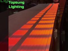 Topsung Digital RGBW LED Neon-Flex 40x25mm