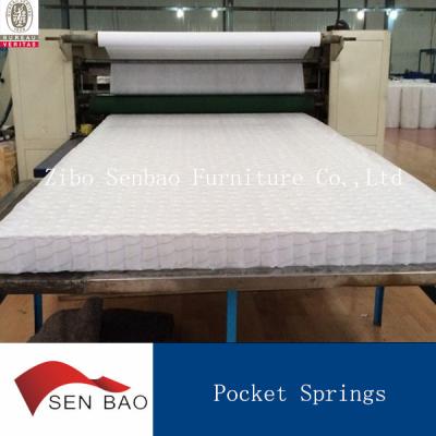 China Coil Senbao Brand Pocket Spring For Mattress With High Carbon Steel Wire for sale