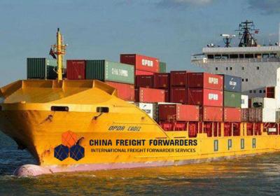 China Choose FCL Freight Forwarders for All Types of Cargo Transit Time 11-30 Sailing Days for sale