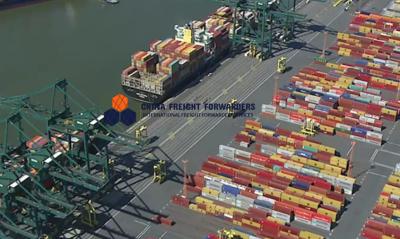 China Shenzhen Sea Freight Forwarder With Optional Insurance And Tracking for sale