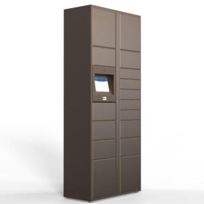 China Cold Rolled Steel Mail Locker Starter Parcel Locker for sale