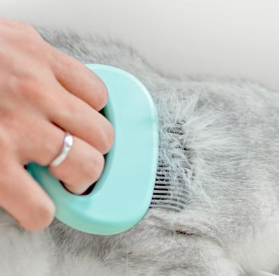 China One-Click Viable Hot Selling Amazon Pet Hair Removal Comb Automatic Dog Hair Removal Comb Grooming Dog Brush for sale