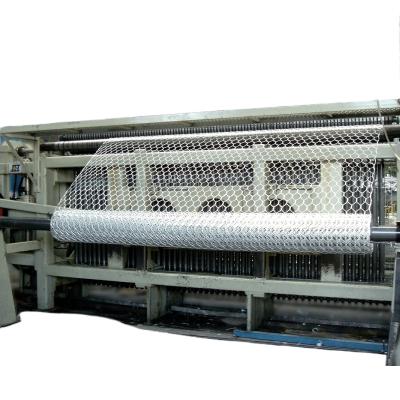 China Hexagonal Animal Fence Wire Mesh Manufacturing Machine for Chicken Raising Mesh in China Factory for sale