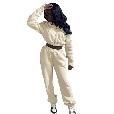 China Hot Sale QUICK DRY Autumn Wear New Solid Color Hooded Two Piece Set Slim Hoodie Pantsuit Tracksuit for sale