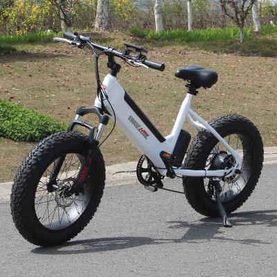 China New Style Men's 48V 12Ah Fat Electric Bicycle Snow Bike Full Steel Suspension 20*4.0 Fat Tire Electric Snow Bike for sale