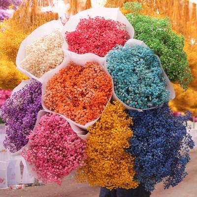 China Beautiful Colorful Dried Gypsophila Mini Babys Breath For Wedding Decoration 120g Preserved Flowers Bridal Bouquet for sale