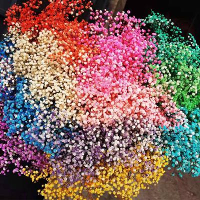 China Immortal Durable Beautiful Colorful Flower Bouquet 120g Dried Gypsophila Flower Preserved Babysbreath For Flower Arrangement for sale