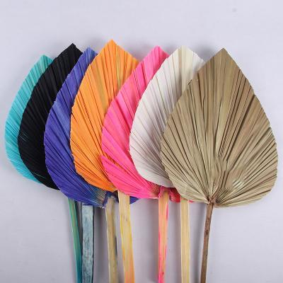 China Wholesale Hot Selling Beautiful Natural Artificial Treated Dried Palm Leaves Colorful Dry Bleached Fan Leaf For Wedding Flower Arranging Decoration for sale