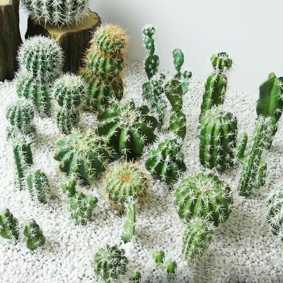 China Beautiful Different Size Colorful Wholesale Set of Preserved Artificial Cactus Succulents Cacti Plants for Home Decoration for sale