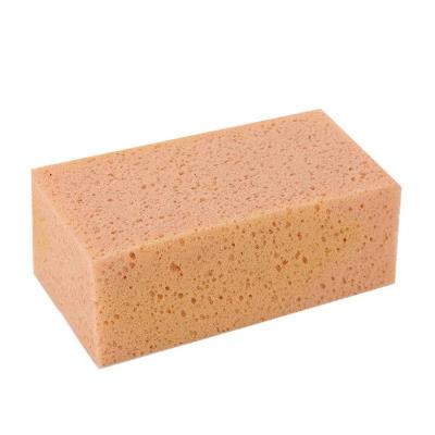 China Reusable Honeycomb car wash cleaning products Coral Seaweed beauty waxing sponge car wash sponge for sale