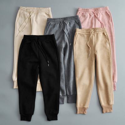 China Anti-Wrinkle Thick Velvet Elastic Waist Corset Harem Pants Joggers Casual Pants With Side Pockesport Ladies Joggers Pants Womens Trousers for sale