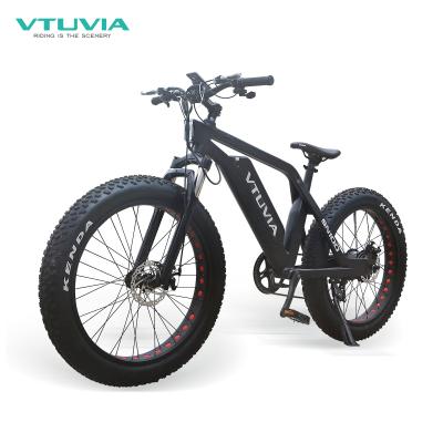 China Electric Bicycle Hunting Fishing Beach Mountain E Bike 48V 750W 13AH Standard High Quality Wholesale Tire for sale