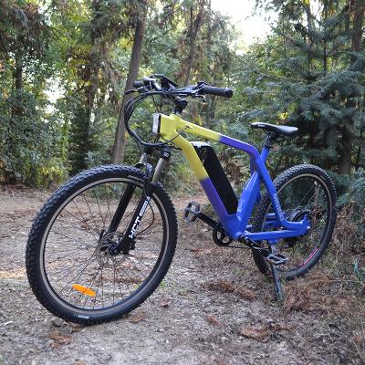 China VTUVIA/New product 1000w 1500w multifunctional mountain ebike electric bicycle for sale