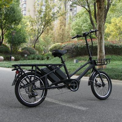 China Heavy Duty Aluminum Alloy 20inch 750W High Power Electric Bike Carry Bike Electric Bicycle for sale