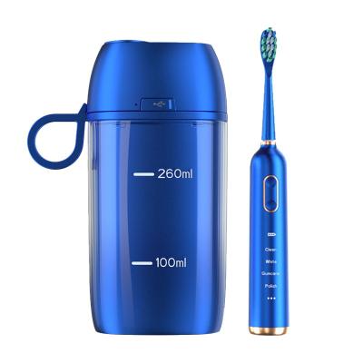 China Space Capsule Electric Toothbrush Adult Self-Contained Sterilization Air Drying Technology Black Torque Ultrasonic Toothbrush for sale