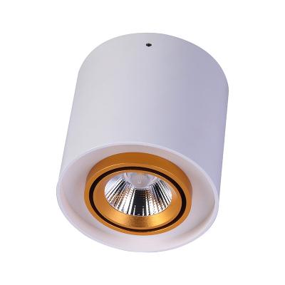 China High Efficiency Adjustable 7w/12w/15w/18w Outdoor Mounted Led Downlight for sale