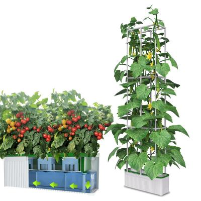 China Smart Hydroponic System Indoor Vertical Hydroponic Garden Grow Kit Growing Hydroponics Hydroponics Systems Automatic Growing Indoor Vertical System rdwc hidroponia for sale