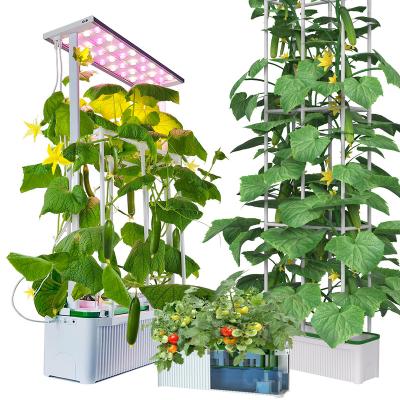 China Rdwc Indoor Vertical Hydroponics Indoor Garden System Soilless Growing Hidroponia Plant LED Grow Light Kit Automated Indoor Hydroponics System for sale