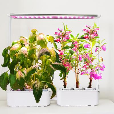 China KOREAN Smart Indoor Garden Cultivator Led To Grow Plant System Hydroponic Growing Systems Large Lightweight Hydroponic Cabinet Home Furniture for sale