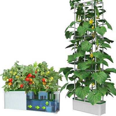 China Esuperegrow DWC Hydroponic System Kit Tomato Pepper Pot Trays Garden Trellis Indoor Vertical Indoor Hydroponic Indoor Outdoor Pepper Grow for sale