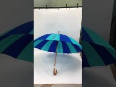 stick umbrella 