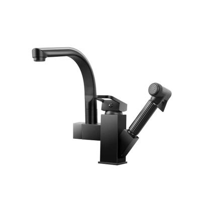 China Modern manufacturers selling the dual function kitchen pull out faucet with the spray gun for sale