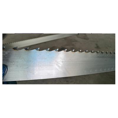 China Wood Processing Plant Low Cost Slanted Machine Band Stellite Alloy Saw Blade For Wood for sale