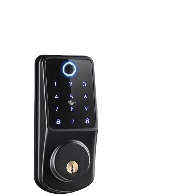 China Hotel Apartments Office Clenp Good Quality Smart Password Card Home Fingerprint Lock with Main Use for Office Home Battery Time Envelope Touch for sale