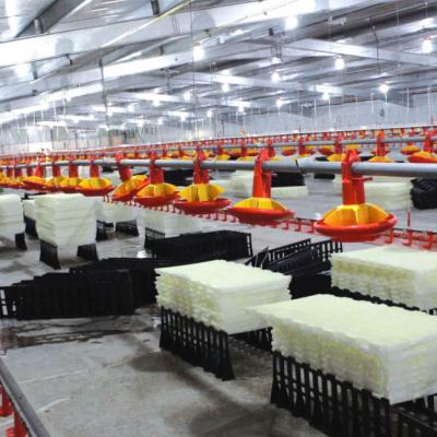 China Customized Full Automatic Poultry House Chicken Farm Laid Breed Broiler House Poultry Farm for sale