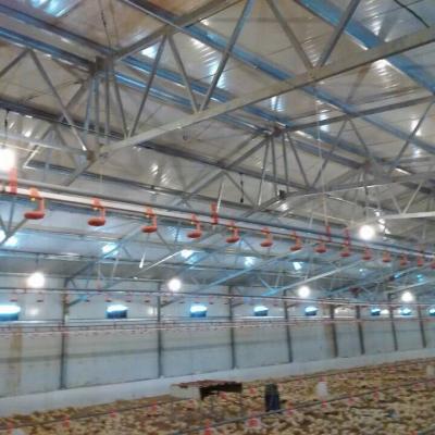 China Modern Poultry Farm Ground Floor Rearing System For Broiler Chicken for sale