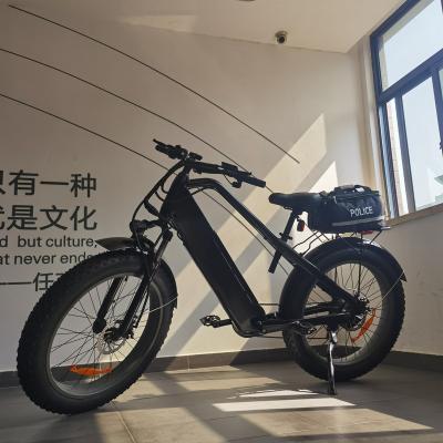 China Unisex 26 Inch To Tire 750W Electric Bicycle Hidden Battery Hydraulic Brakes Cycle Electric Bike for sale