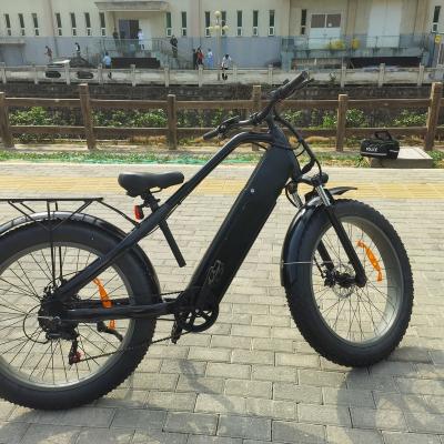 China 2021 Unisex Cheap Pedal Power Assist 48V 750W 17.5Ah Lithium Battery Electric Bike Bicycle for sale