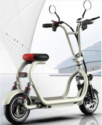 China China Factory Unisex Electric Scooter Electric Bike 2 Wheel Folding Powerful 48V Electric Bike for sale