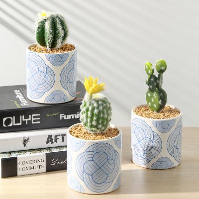 China Events Decoration BinRui Artificial Flower Cactus Potted Plants Party Decor Room Decor Festival Gifts Indoor Home Weeding Retail Stores for sale