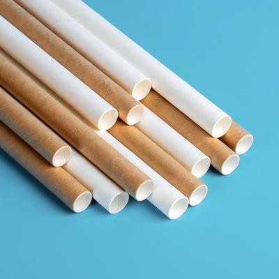 China Party Supplies Partysprite Holiday Party Supplies OEM Food Grade Biodegradable Custom Paper Straws for sale