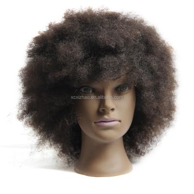 China Real Mannequin Master Head Afro Wholesale Price Hair Training Head Doll for sale