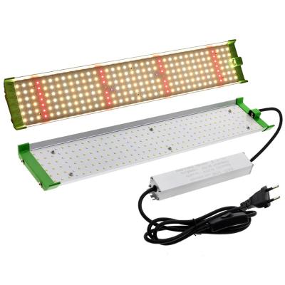 China Seed Starting Mute Full Spectrum Plant Grow Light 85W Indoor Phyto Lamp For Greenhouse Grow Tent Herbal Flower Seedling Growth Lighting for sale