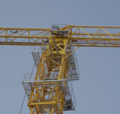 Chine Zoomlion Jib 60m 8 Tonnes Tour plate Crane mobile à vendre