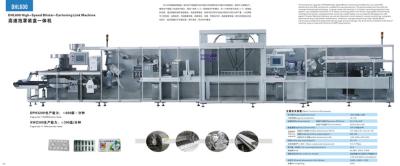 China linha da máquina de empacotamento, máquina de embalagem da bolha-caixa-relação, machineryDHL600 farmacêutico à venda