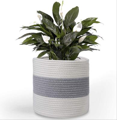 China Sustainable Nordic Style Cotton Plant Rope Woven Basket With Handles Large Indoor Storage Basket For Potted Plants for sale