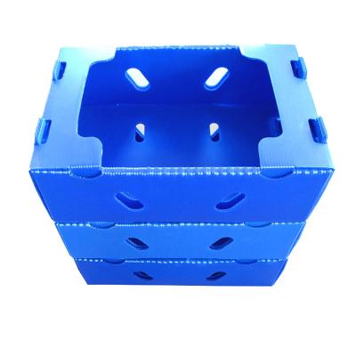 China Storage pp cover factory OEM/ODM corrugated plastic fruit and vegetable boxes, plastic pp cover box for sale