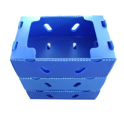 China Factory Recyclable Storage 100% OEM/ODM Corrugated Plastic Foldable Turnover Boxes, Plastic Fruit And Vegetable Box for sale