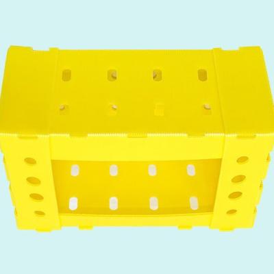 China PP Customized Color Green PP Corrugated Plastic Fruit And Vegetable Box for sale