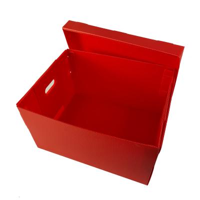 China Factory Direct Sale Eco - Friendly PP Sheet Corrugated Box for sale