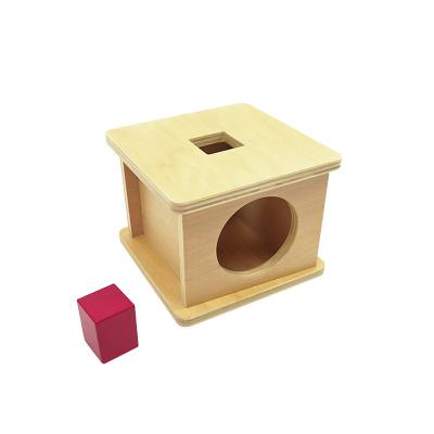 China Children's Education Montessori Materials Wooden Toys Imbucare Box for Kindergarten and Baby Nursery with Cube Kids Toys for sale