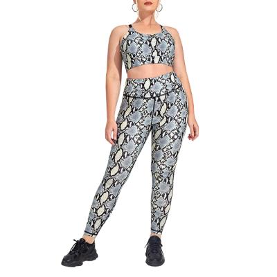 China Custom Breathable Plus Size Gym Snakeprint Leggings And Sports Bra For Women Print Yoga Set Women Yoga Two Piece Sets for sale