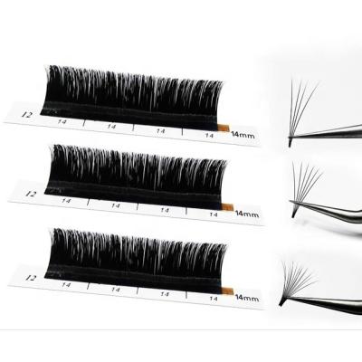 China 5D Fan Easy In Softer No Residue Private Label Volume Eyelash 5D Fan Easy Running Blossom Removable And Lash Extension for sale