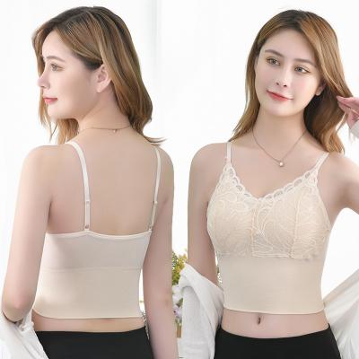 China Seamless V-Neckline QUICK DRY Lace Up Beauty Back Latex Feeling Chest Protection Without Steel Ring Adjustable Shoulder Straps Ladies Sports Invest for sale