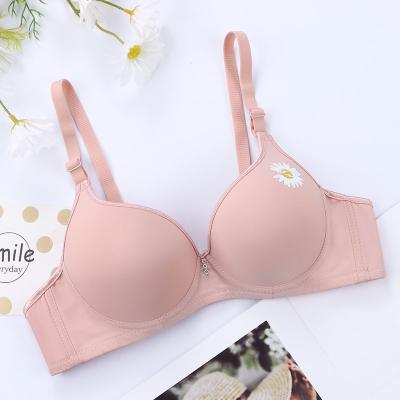 China Other Wholesale Breathable Lingerie Women Seamless Bra Plus Size Women Underwear for sale